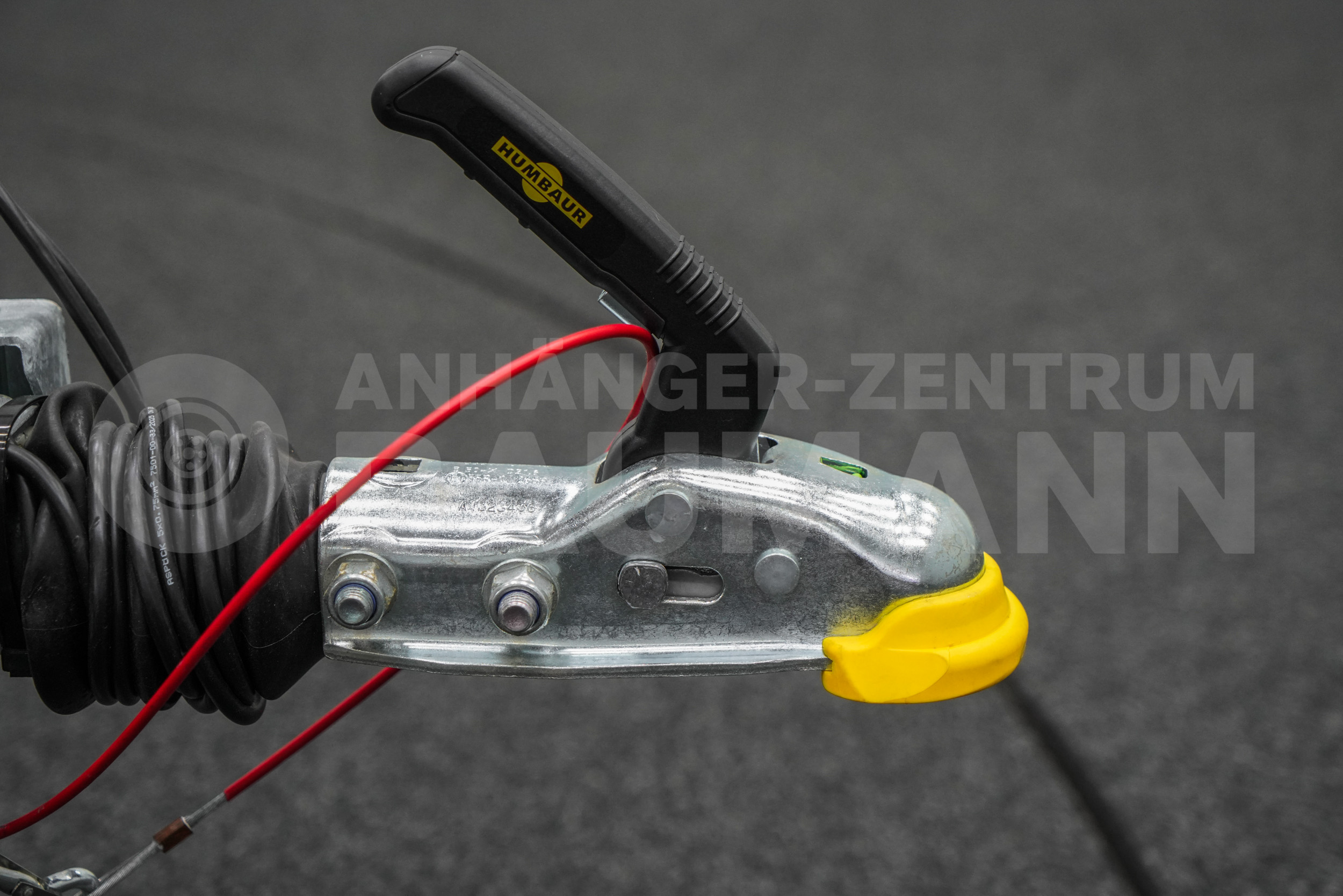 HUMBAUR HKPA 263217 | HECKRAMPENKOMBI | SEITENTÜR