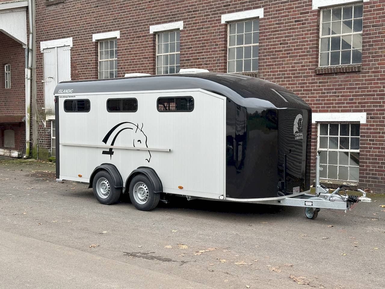 CHEVAL LIBERTE ISLANDIC SCHRÄGSTEHER