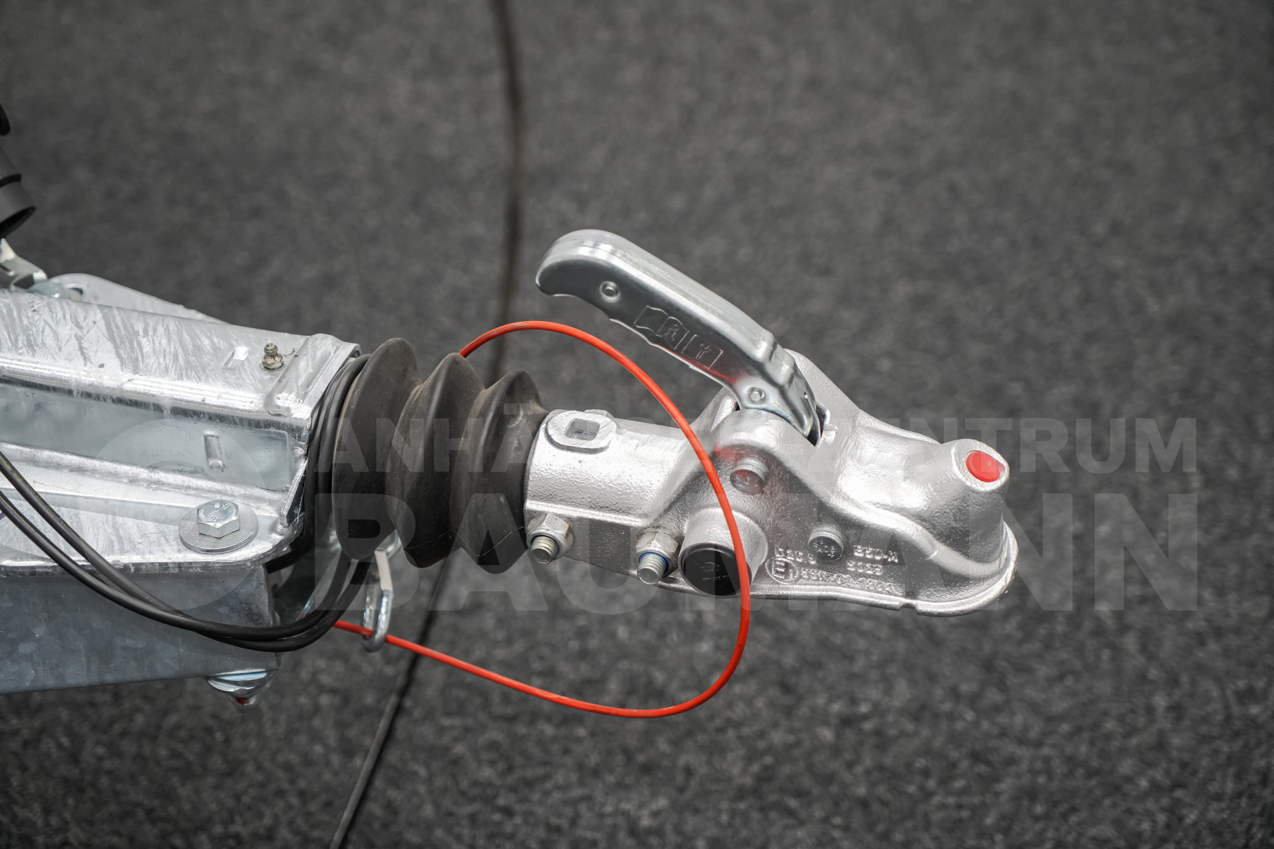 BLYSS F2741HT SANDWICH | RAMPE | SEITENTÜR