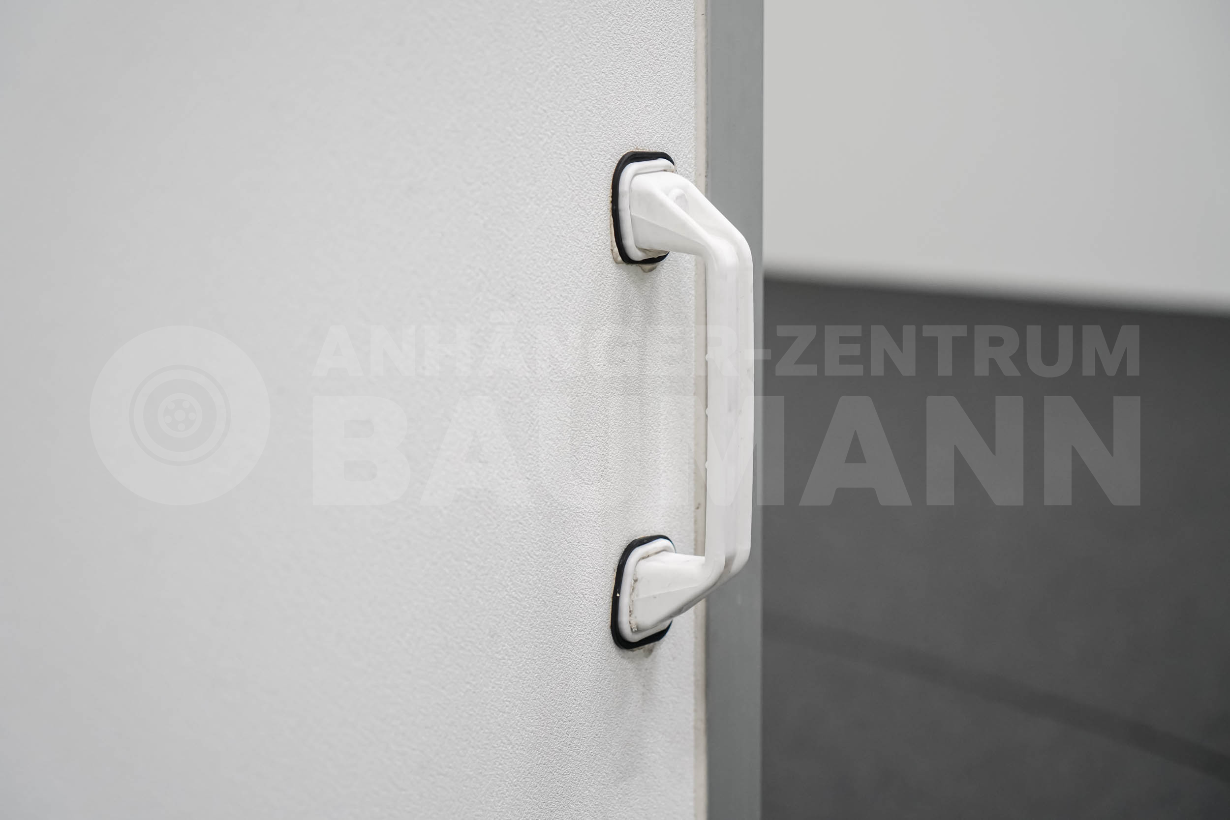 BLYSS F1336HD | RAMPE | SEITENTÜR